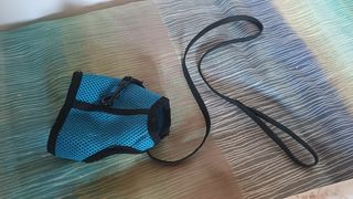 Arnés conejo o gato