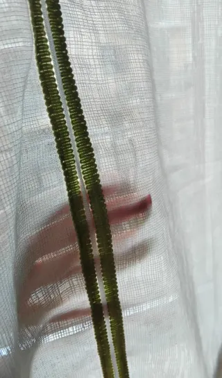 Tendine Linea Oro H 2,30 L 1,30 bianche verdi