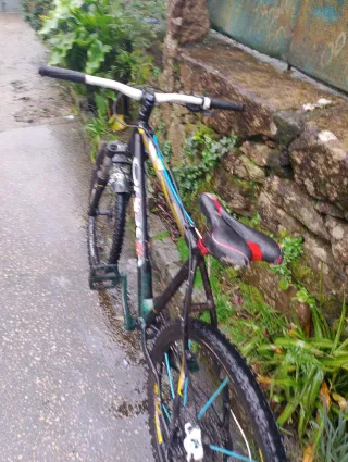Bicicleta de montaña