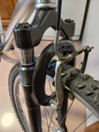 Bicicleta Alyminio Suzuki Plata