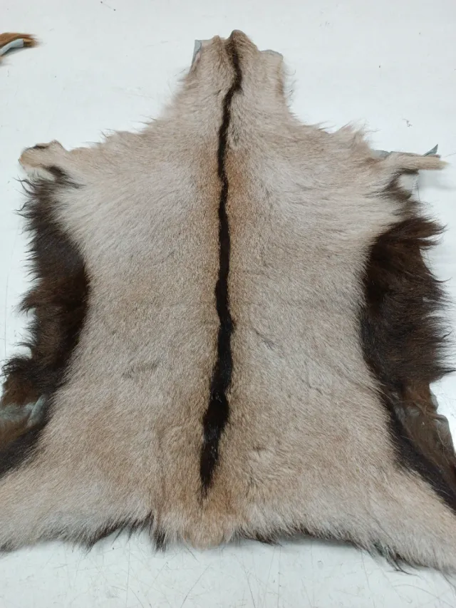 Piel de cabra para decoración