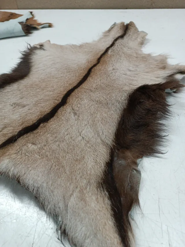 Piel de cabra para decoración