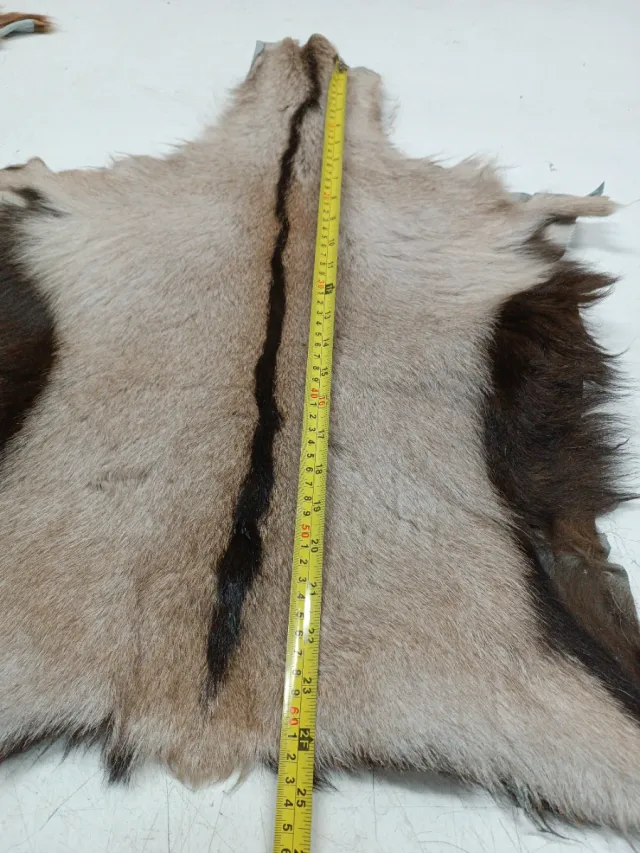 Piel de cabra para decoración