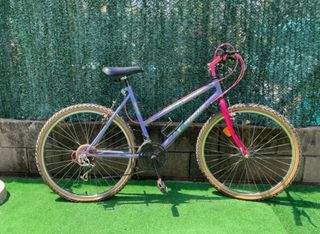 Bicicleta Montaña Morada y Rosa