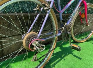 Bicicleta Montaña Morada y Rosa