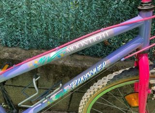 Bicicleta Montaña Morada y Rosa