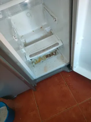 Se hacen limpiezas de oficinas, casas....