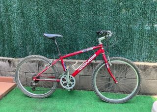 Bicicleta roja
