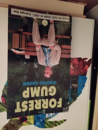 Libro de forrest gump