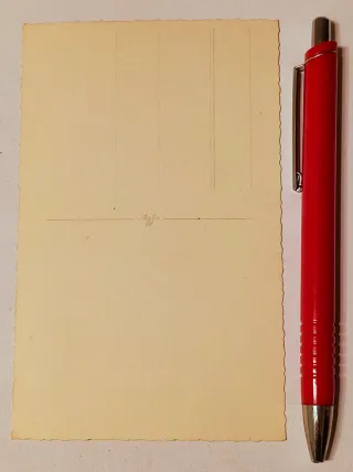 Militaria Fotopostal Waffen SS