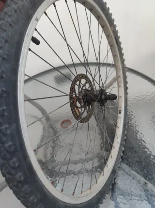 Rueda bici delantera con disco y bloqueo