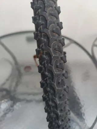 Rueda bici delantera con disco y bloqueo