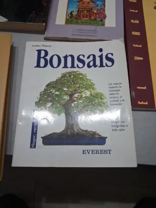 ​Lote 5 Libros Variados - Narrativa, Guías y Clási