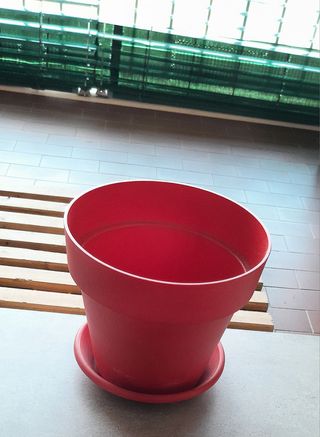 Vaso con sottovaso