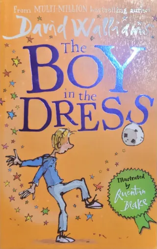 The Boy in the Dress