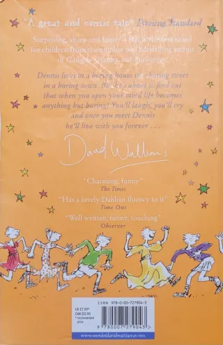 The Boy in the Dress