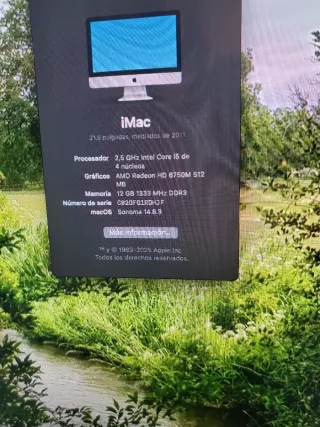 Ordenador Apple iMac Gris/Plata