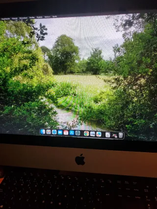 Ordenador Apple iMac Gris/Plata