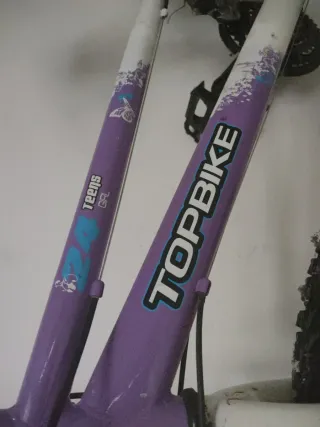 Bicicleta Topbike Morada