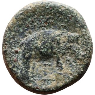 Moneda Antigua Seleuco II elefante