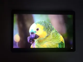 Samsung Galaxy Tab S9 FE