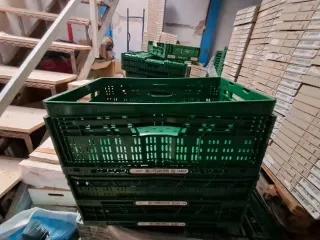 20 Cajas IFCO Verdes