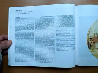 El Siglo de Oro del paisaje holandés