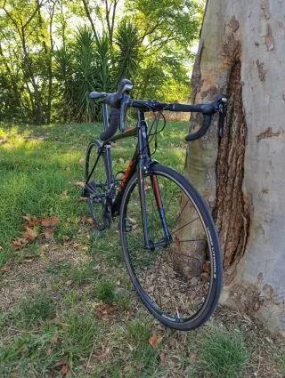 Bicicleta Trek Émonda ALR