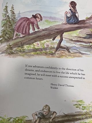 Livro "The Springs of Joy" - Tasha Tudor (Edição 1