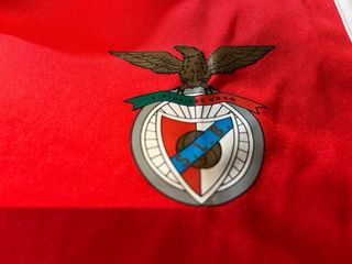 Camiseta entrenamiento Benfica sin mangas Adidas