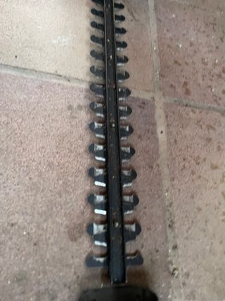 Cortasetos Bosch AHS 55