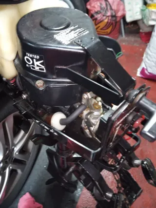 Motor fueraborda Mercury 3,3 hp Dos tiempos