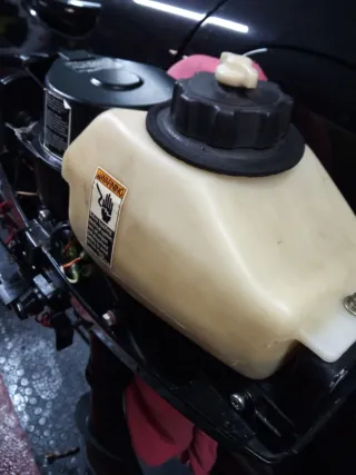 Motor fueraborda Mercury 3,3 hp Dos tiempos