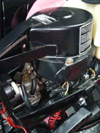 Motor fueraborda Mercury 3,3 hp Dos tiempos