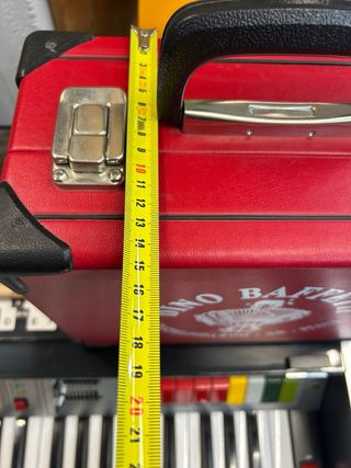 Custodia rigida Dino Baffetti per organetto