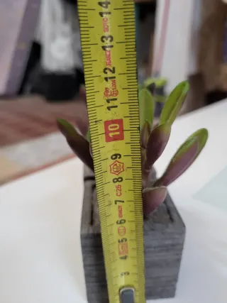 2 Macetas con Plantas Artificiales