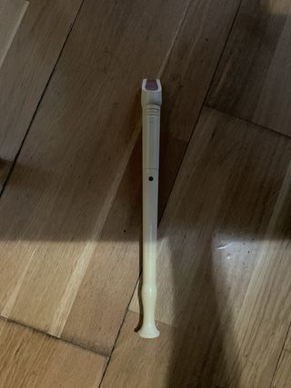 Flauta con funda