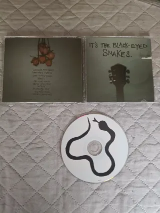 The Black-Eyed Snakes - it's the cd (rock/blues)