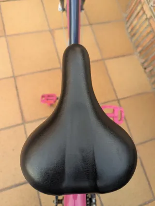 Bicicleta infantil B'TWIN azul y rosa de 24"