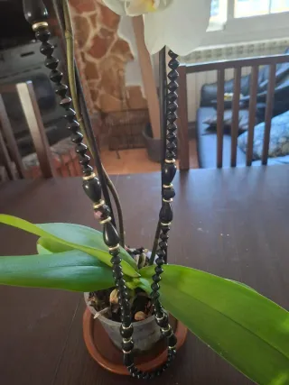 Collare lungo donna nero e dorato