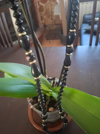 Collare lungo donna nero e dorato