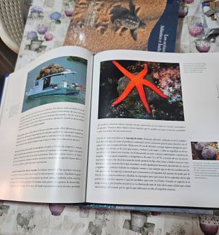 COLECCION CONTINENTE AZUL EXPLORANDO LOS LIMITES