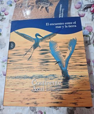 COLECCION CONTINENTE AZUL EXPLORANDO LOS LIMITES