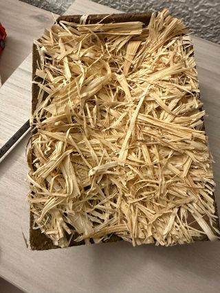 Niño Jesús de Belén