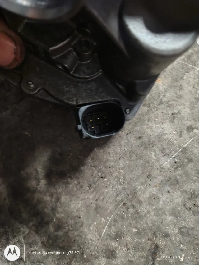 Open insigne 2.0 año 2014 Cuerpo Mariposa