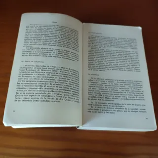 Don Quijote de la Mancha (volumen I)