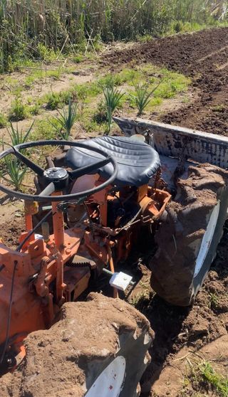Tractor Pascualis