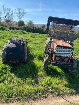 Tractor Pascualis