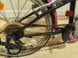 Bicicleta infantil 20 Btwin