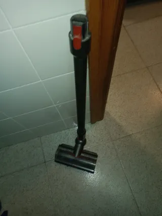 Tubo y rodillo Dyson Cyclone V10